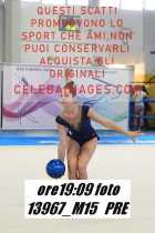 13967_M15-PRE