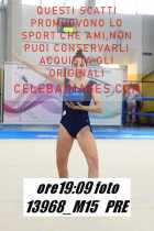 13968_M15-PRE
