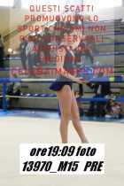 13970_M15-PRE