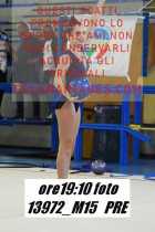 13972_M15-PRE