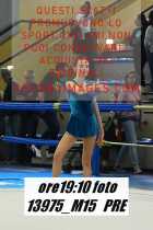 13975_M15-PRE