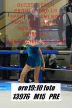 13976_M15-PRE