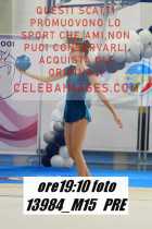 13984_M15-PRE