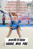 14006_M15-PRE