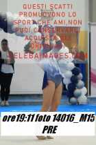 14016_M15-PRE
