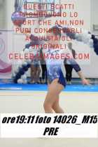 14026_M15-PRE