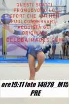 14028_M15-PRE