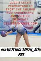 14029_M15-PRE