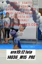 14036_M15-PRE