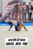 14039_M15-PRE