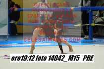 14042_M15-PRE