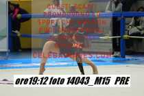 14043_M15-PRE