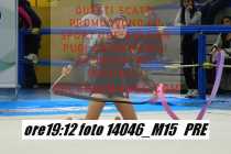 14046_M15-PRE