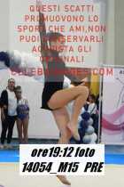 14054_M15-PRE