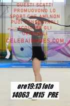 14063_M15-PRE