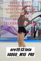 14066_M15-PRE