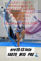 14079_M15-PRE
