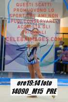 14090_M15-PRE