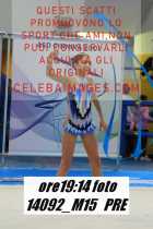 14092_M15-PRE