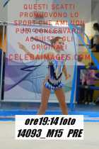 14093_M15-PRE