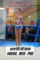 14096_M15-PRE