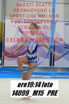 14099_M15-PRE