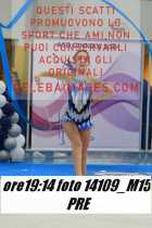 14109_M15-PRE