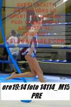 14114_M15-PRE