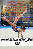 14116_M15-PRE