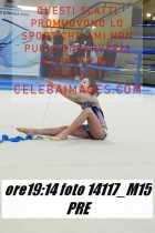 14117_M15-PRE