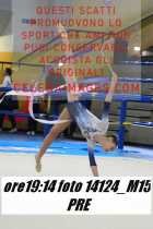 14124_M15-PRE