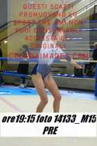 14133_M15-PRE