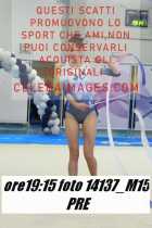 14137_M15-PRE