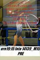 14139_M15-PRE