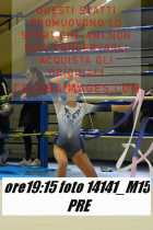 14141_M15-PRE