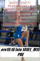 14161_M15-PRE