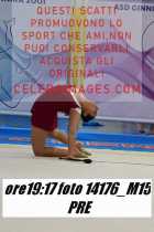 14176_M15-PRE
