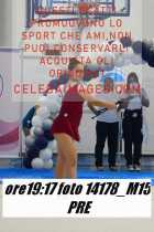 14178_M15-PRE