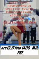 14179_M15-PRE