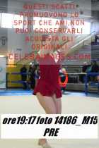 14186_M15-PRE