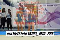 14193_M15-PRE
