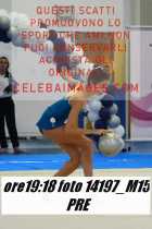 14197_M15-PRE