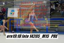 14205_M15-PRE