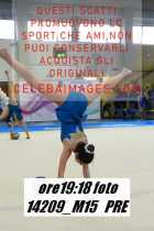 14209_M15-PRE