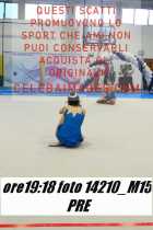 14210_M15-PRE