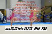 14223_M15-PRE