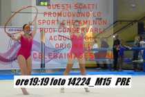 14224_M15-PRE