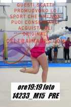 14233_M15-PRE