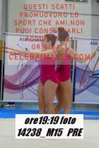 14238_M15-PRE