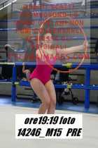 14246_M15-PRE
